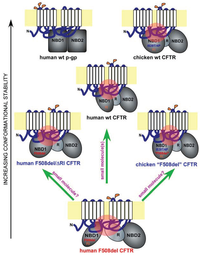 Biomolecules 04 00498 g001 200