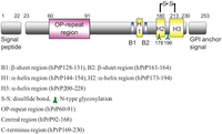 Biomolecules 04 00510 g001 200
