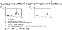 Biomolecules 04 00510 g002 200