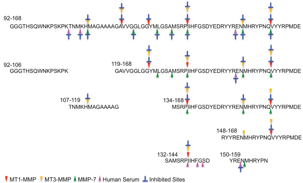 Biomolecules 04 00510 g004 1024