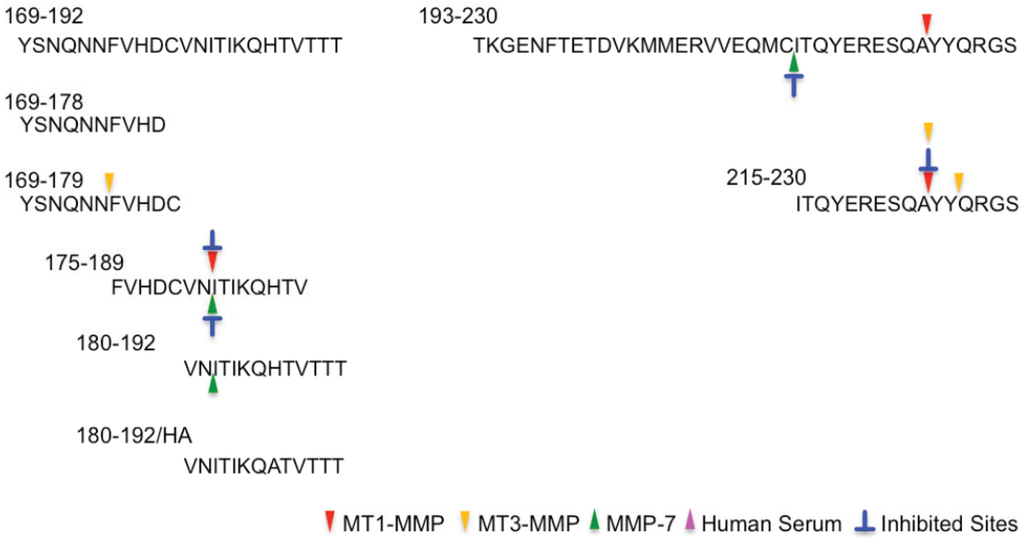 Biomolecules 04 00510 g005 1024