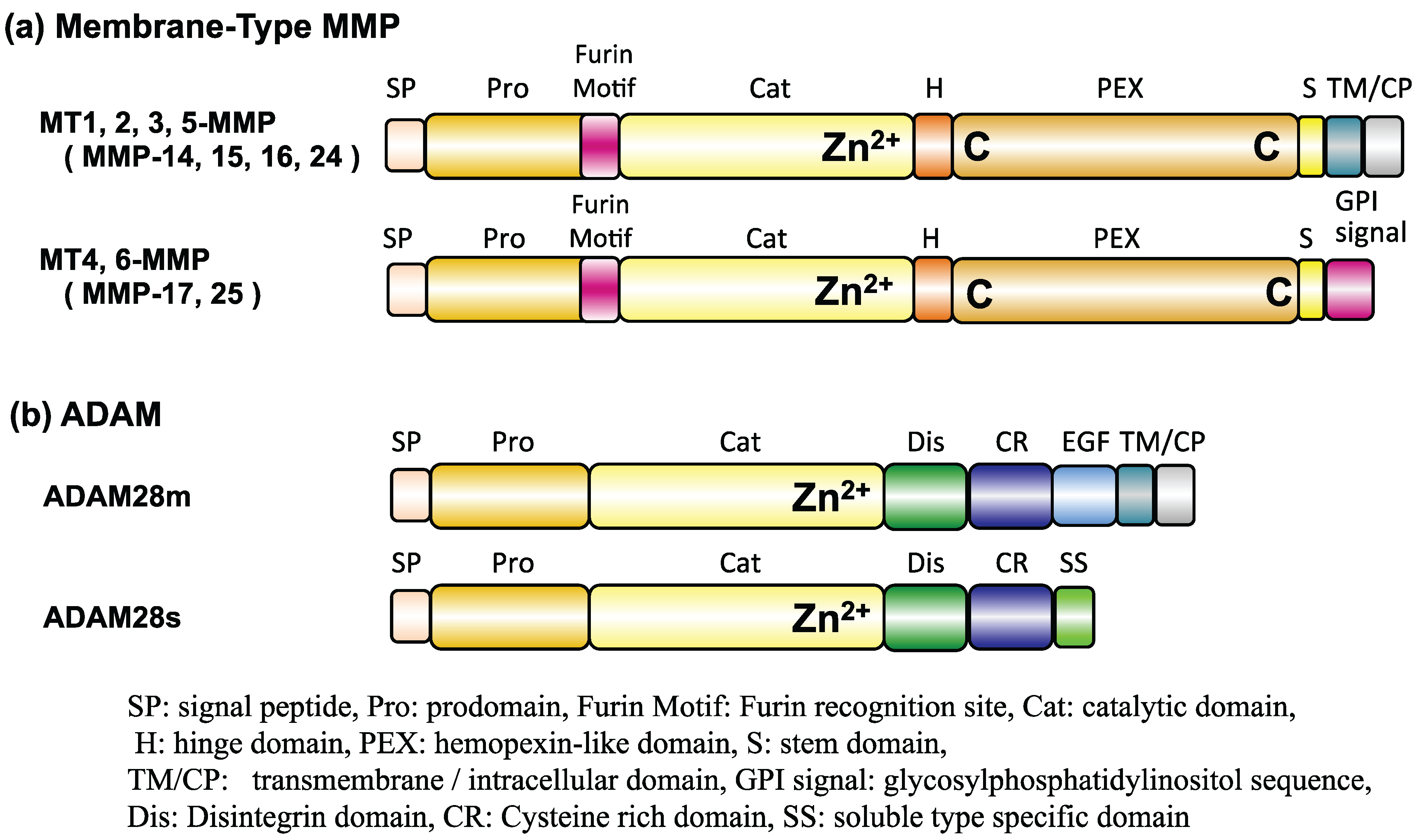 Biomolecules 04 00510 g006