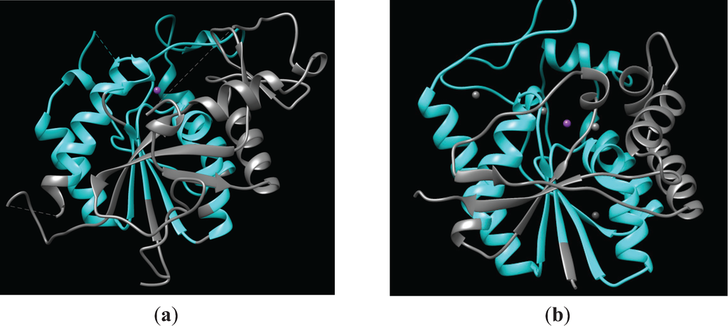 Biomolecules 04 00527 g001 1024