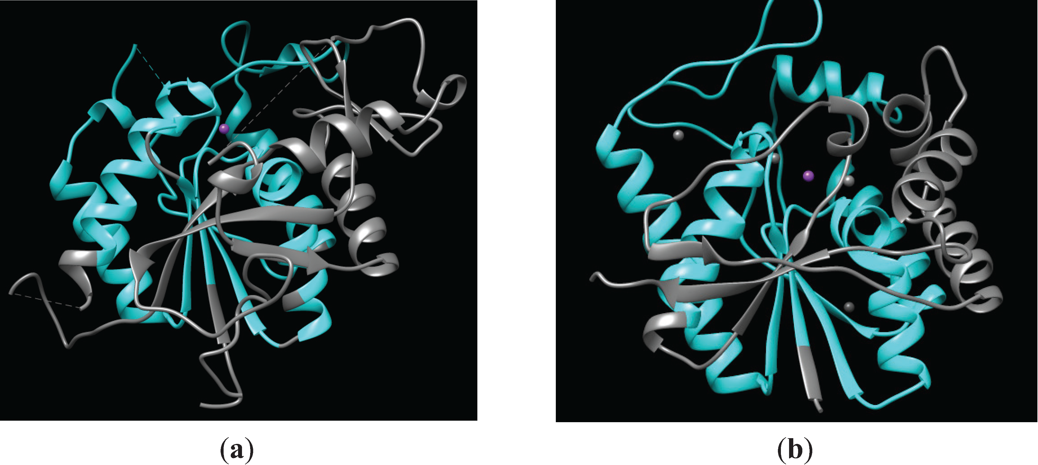 Biomolecules 04 00527 g001