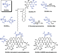Biomolecules 04 00527 g002 200