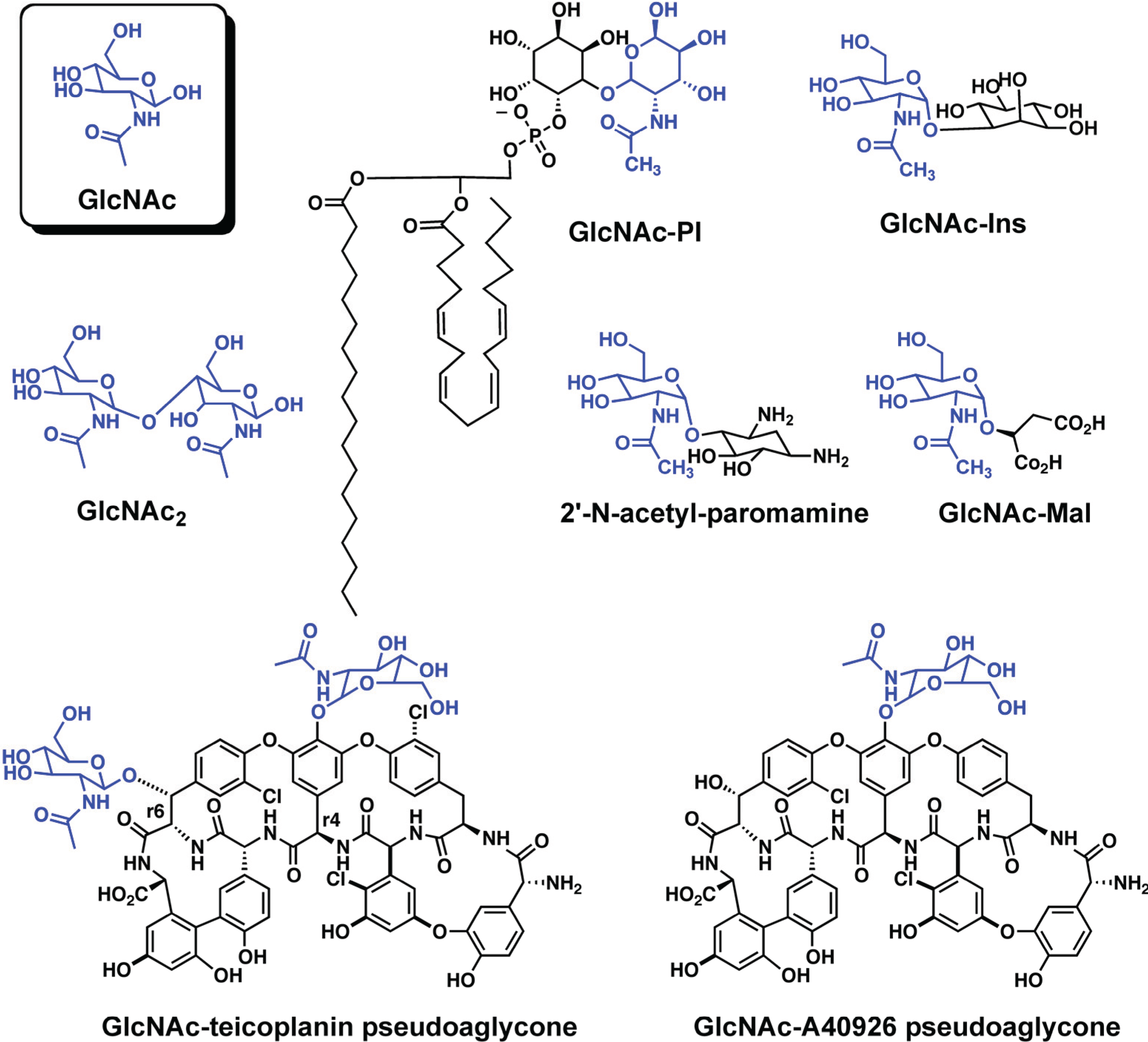 Biomolecules 04 00527 g002