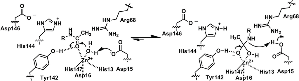 Biomolecules 04 00527 g004 1024