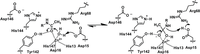 Biomolecules 04 00527 g004 200
