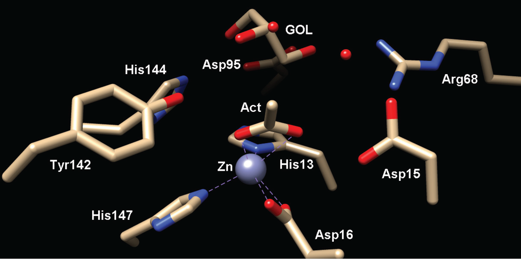 Biomolecules 04 00527 g005 1024