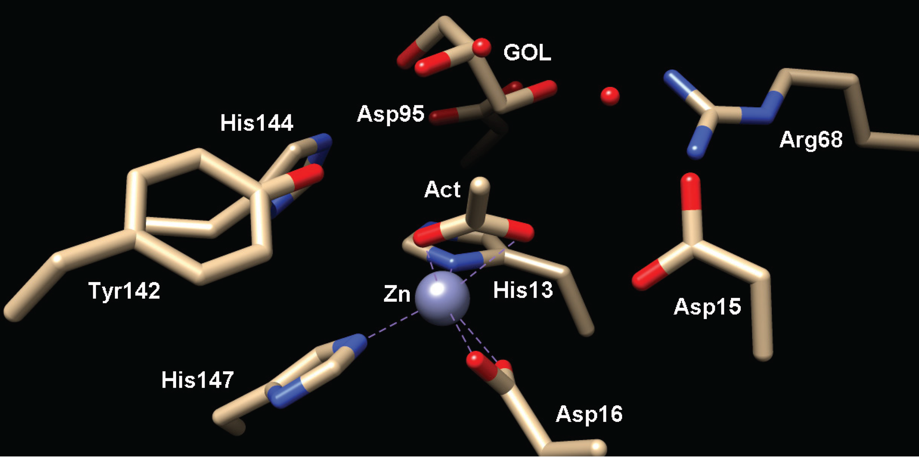 Biomolecules 04 00527 g005
