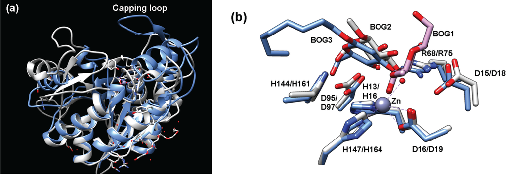 Biomolecules 04 00527 g006 1024