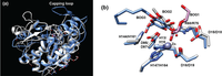 Biomolecules 04 00527 g006 200
