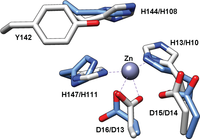 Biomolecules 04 00527 g007 200