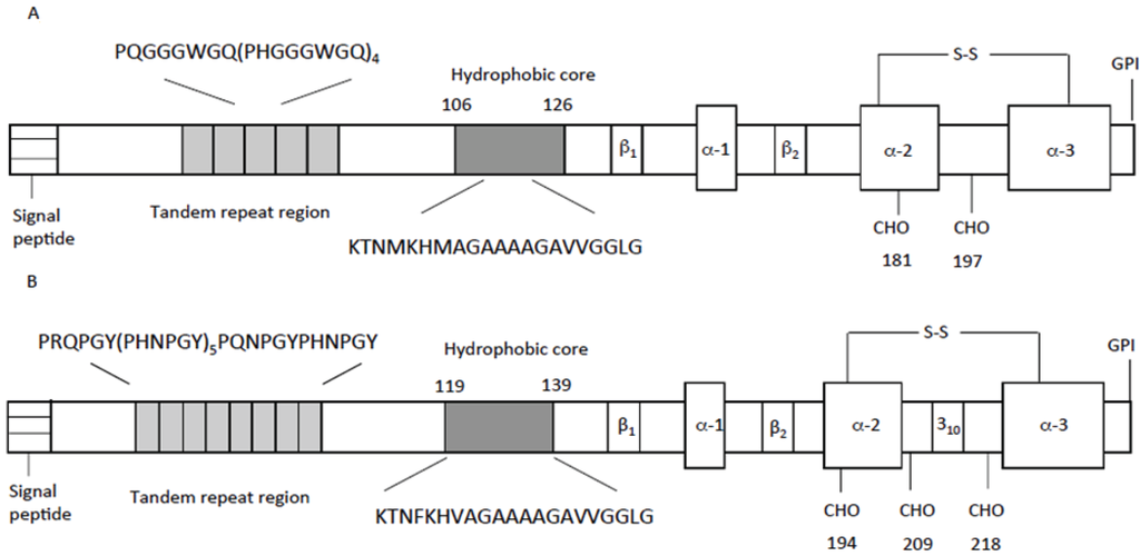 Biomolecules 04 00546 g002 1024