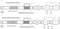 Biomolecules 04 00546 g002 200