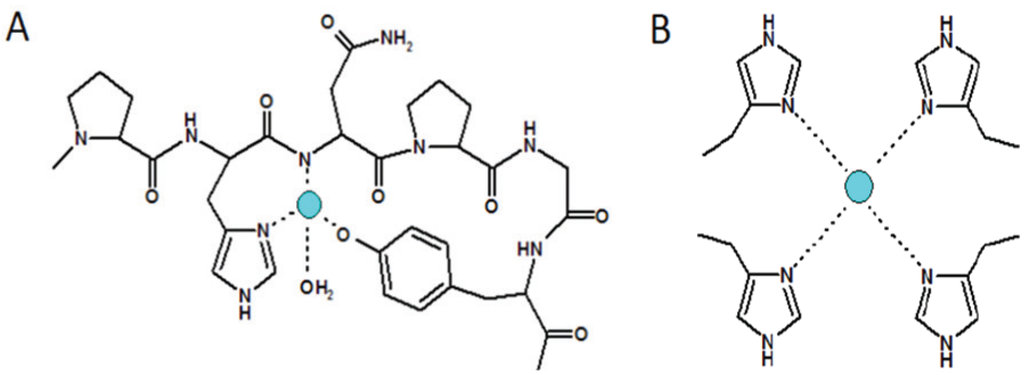 Biomolecules 04 00546 g004 1024