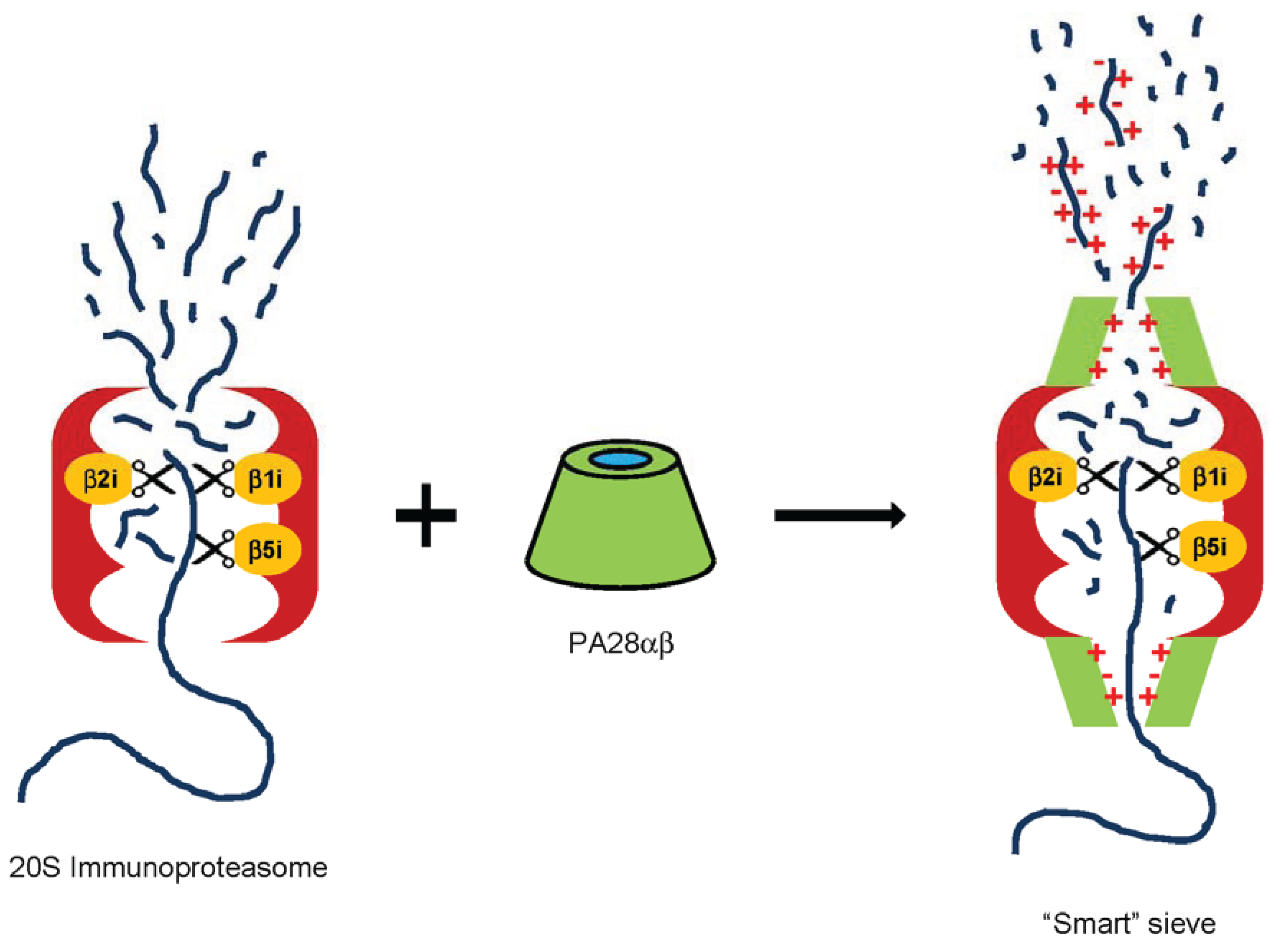 Biomolecules 04 00566 g002
