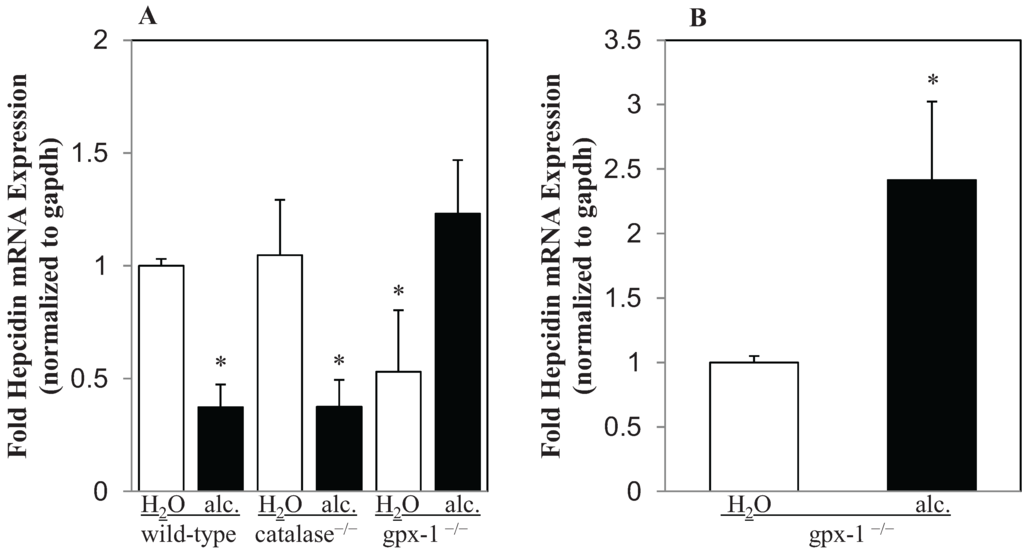 Biomolecules 05 00793 g002 1024