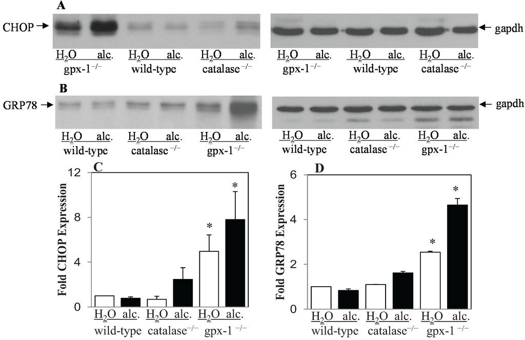 Biomolecules 05 00793 g003 1024