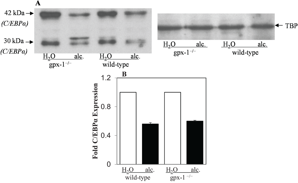 Biomolecules 05 00793 g004 1024