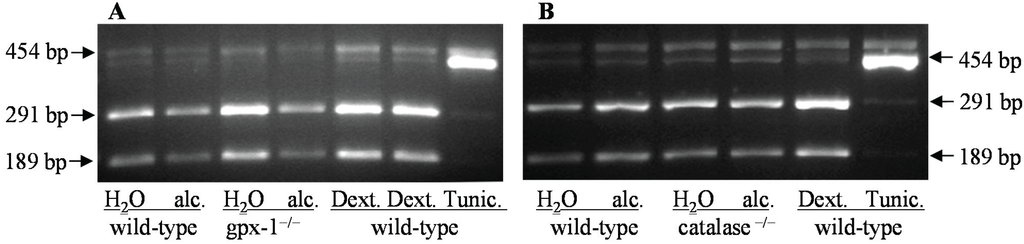 Biomolecules 05 00793 g005 1024