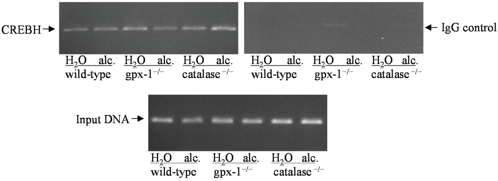 Biomolecules 05 00793 g007 1024