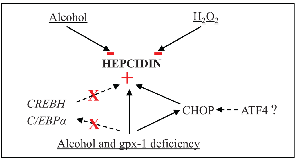 Biomolecules 05 00793 g008 1024