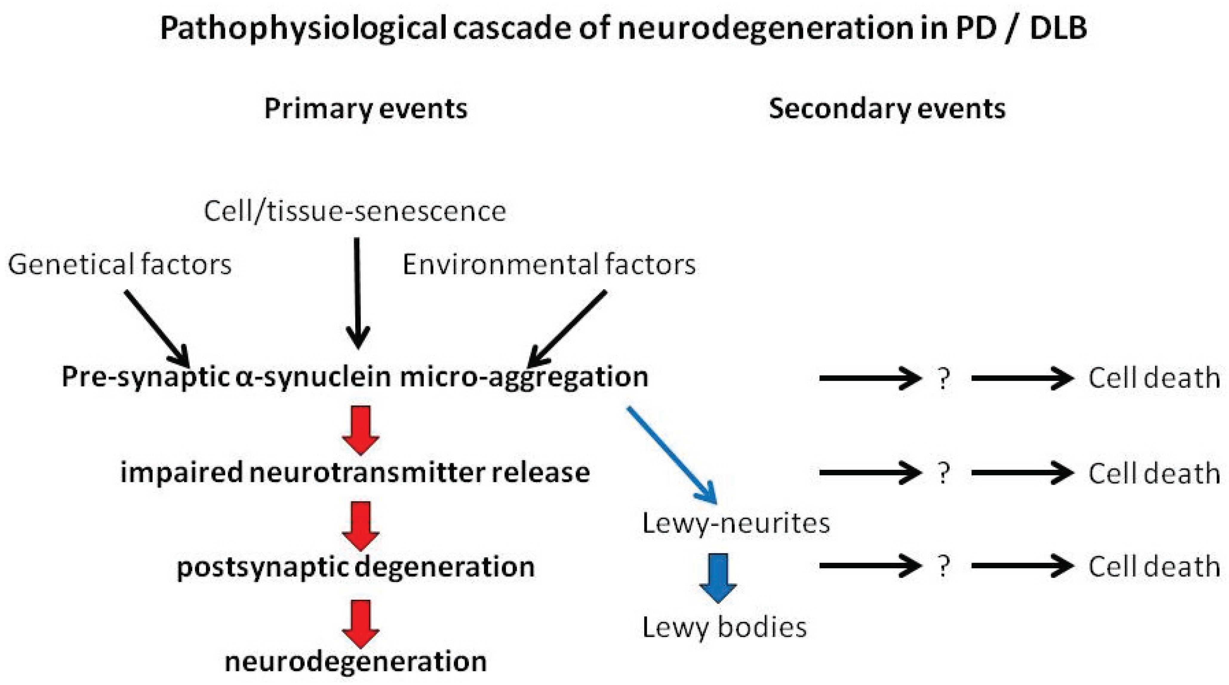 parkinson disease pathophysiology idiopathic secondary pd cell death primary biomolecules pathophysiological pdf figure neurodegeneration cascade dlb leading mdpi suggested events
