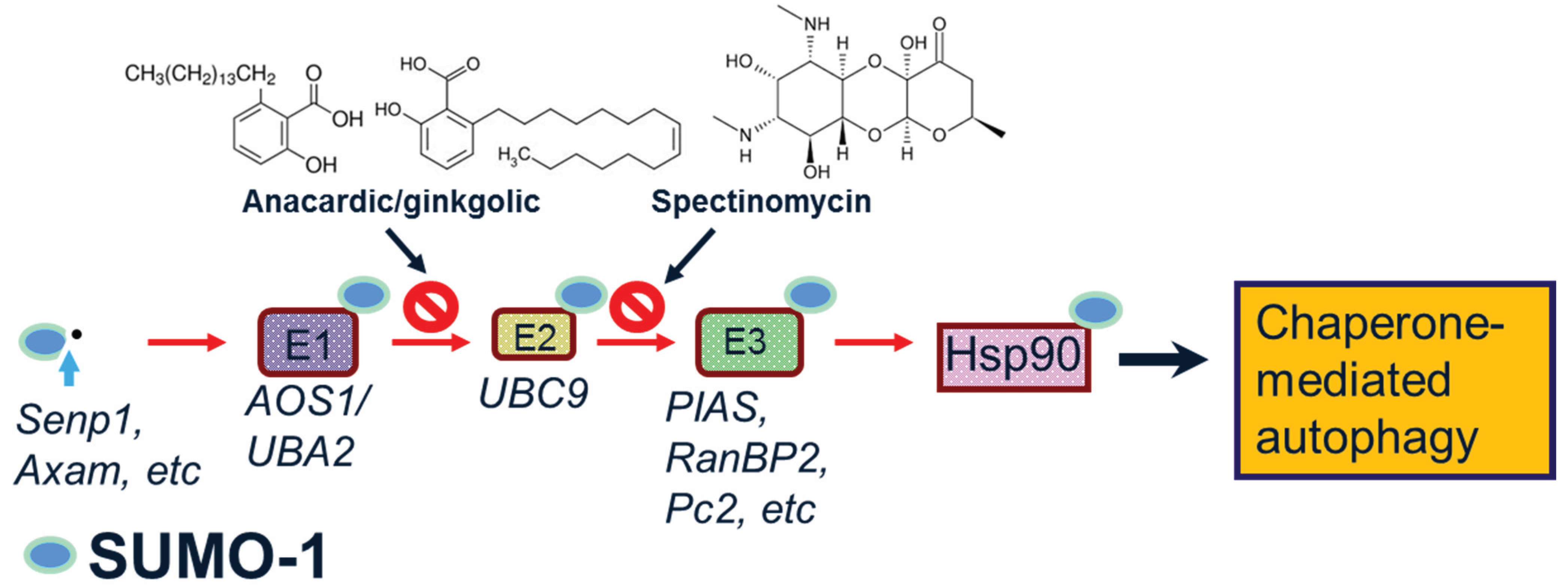 Biomolecules 05 01697 g001