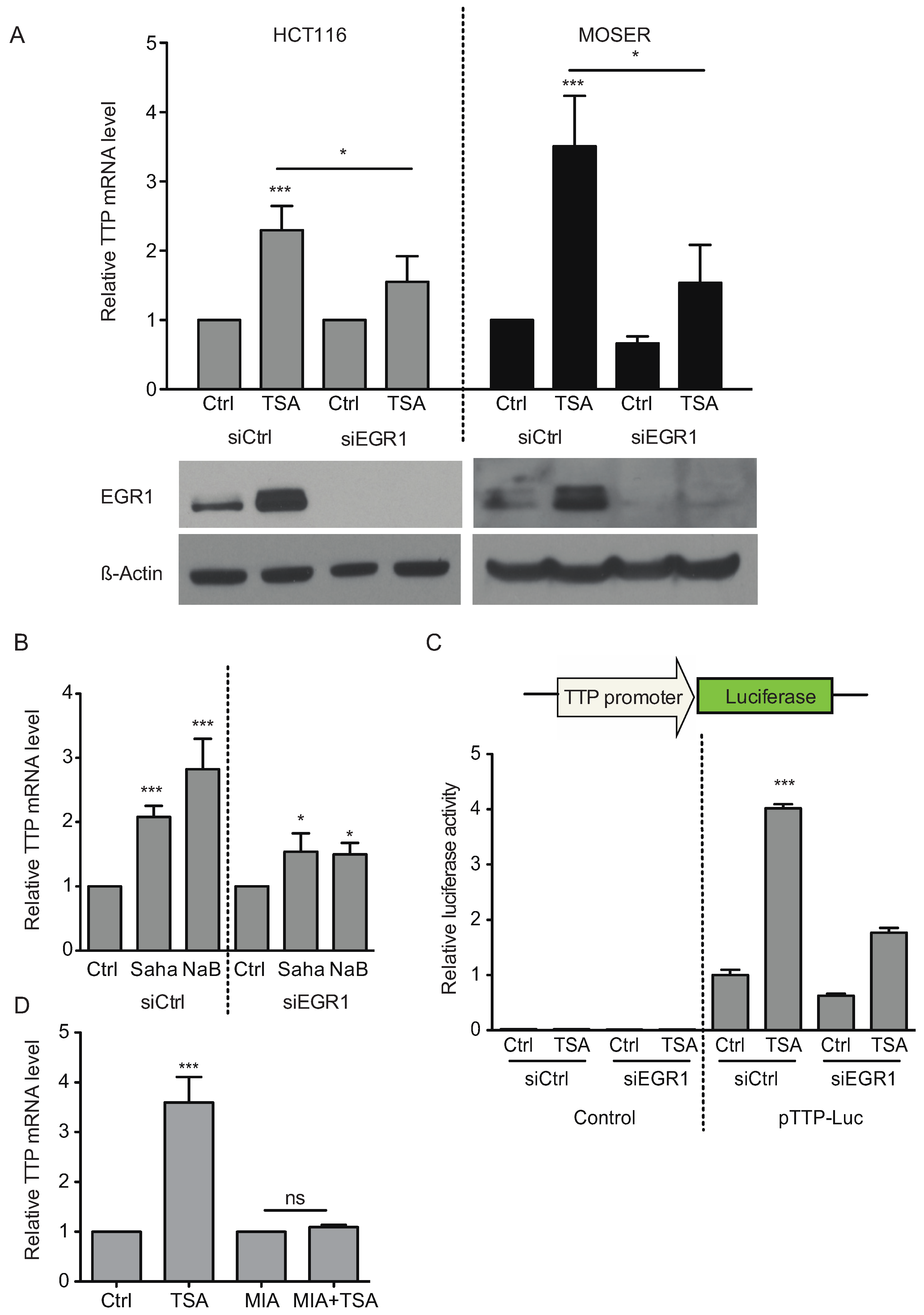 Biomolecules 05 02035 g008