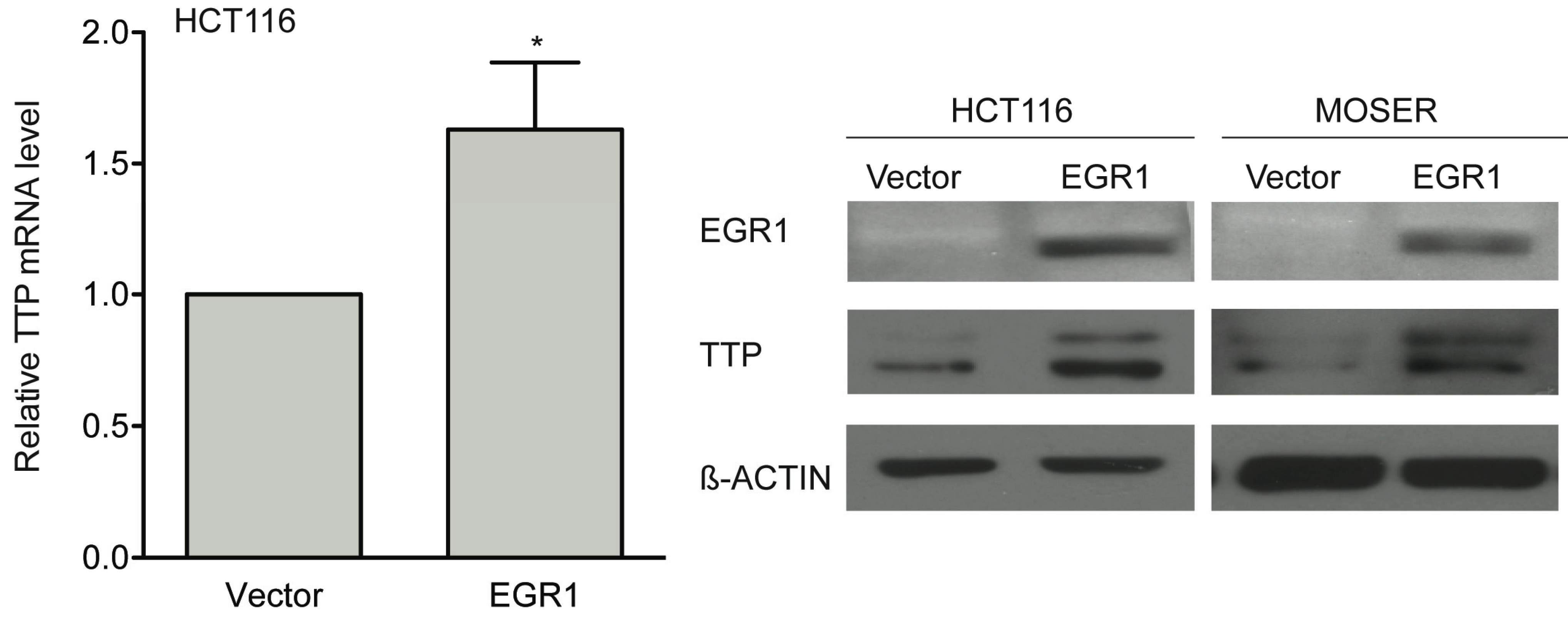 Biomolecules 05 02035 g009