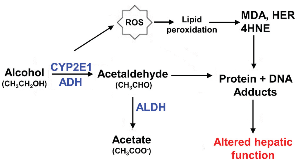 Biomolecules 05 02140 g001 1024