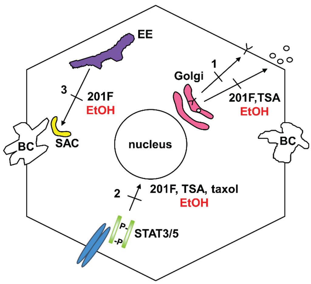 Biomolecules 05 02140 g002 1024