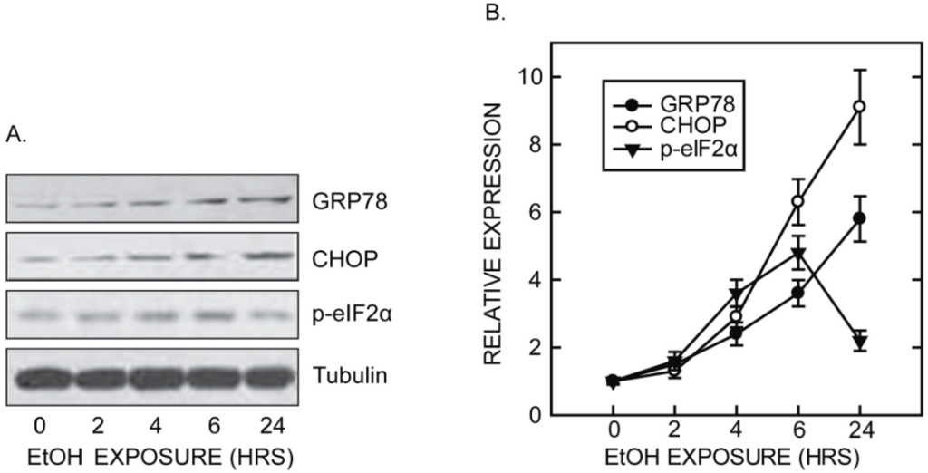 Biomolecules 05 02538 g002 1024