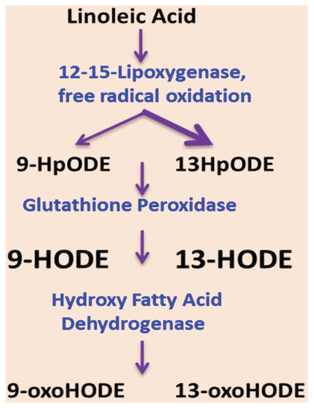 Biomolecules 06 00001 g002 1024