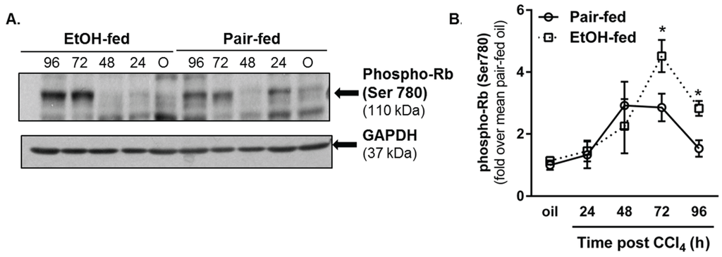 Biomolecules 06 00005 g007 1024
