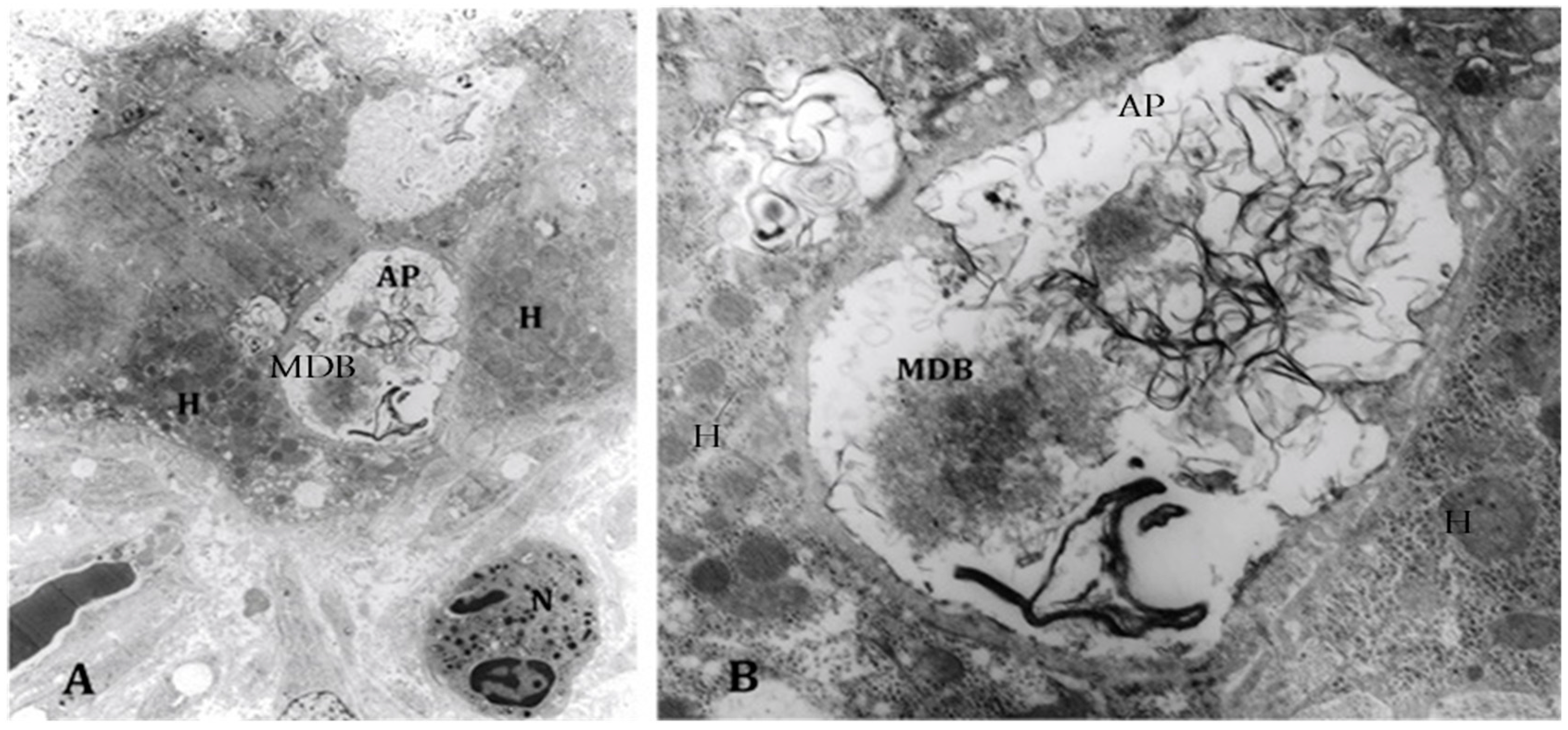 Biomolecules 07 00011 g002
