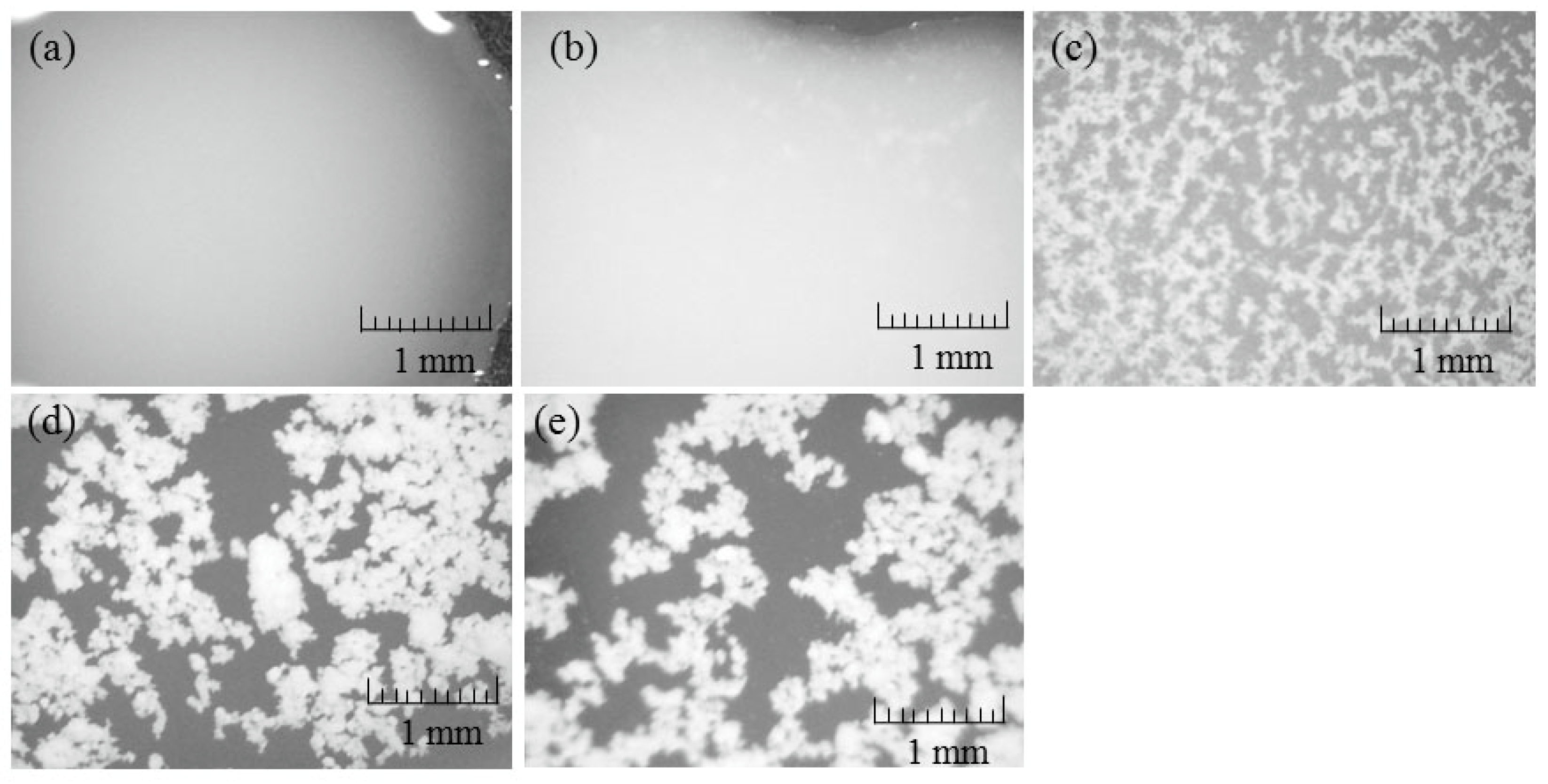 Biomolecules 07 00047 g009