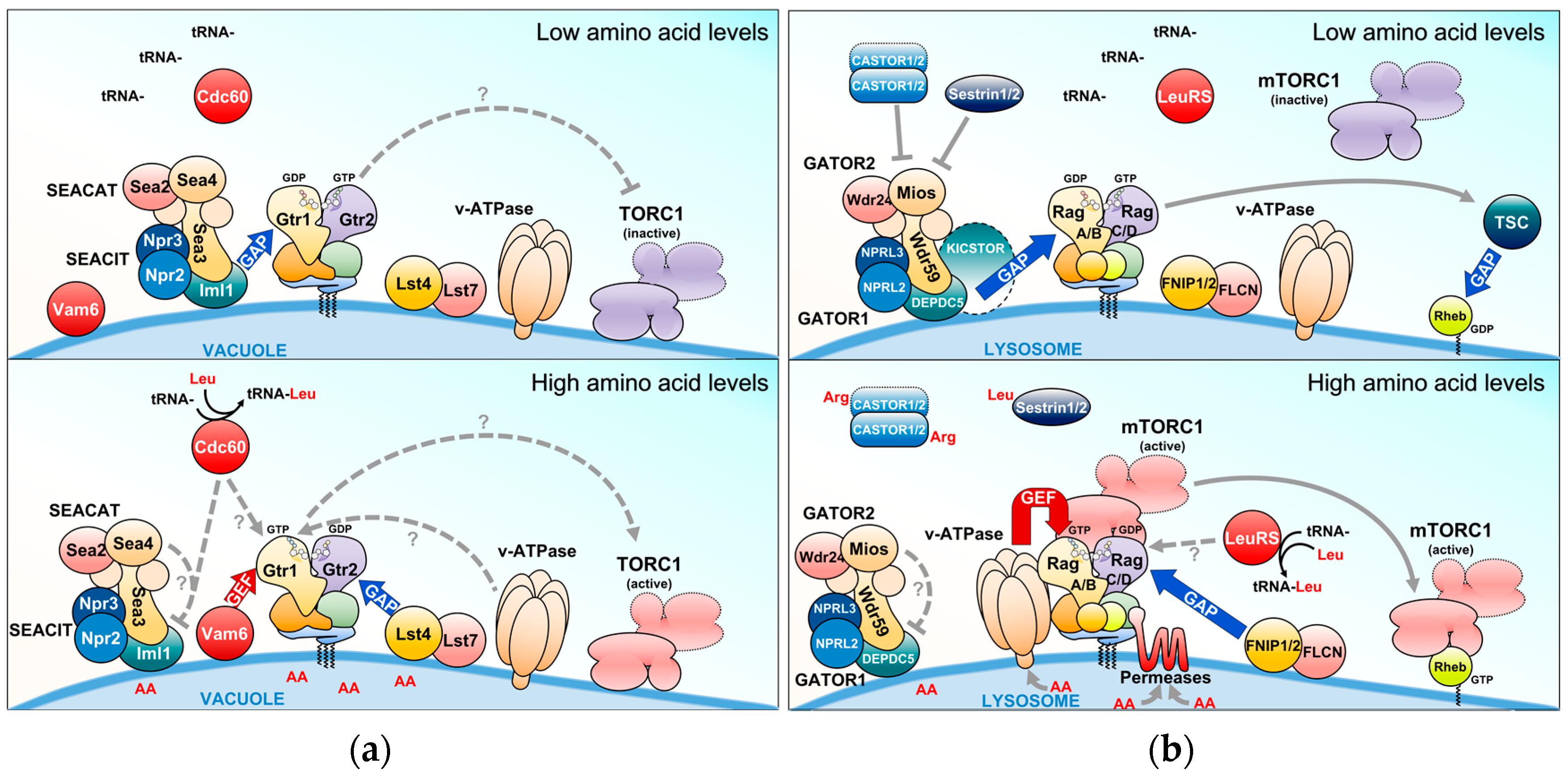 Biomolecules 07 00048 g004