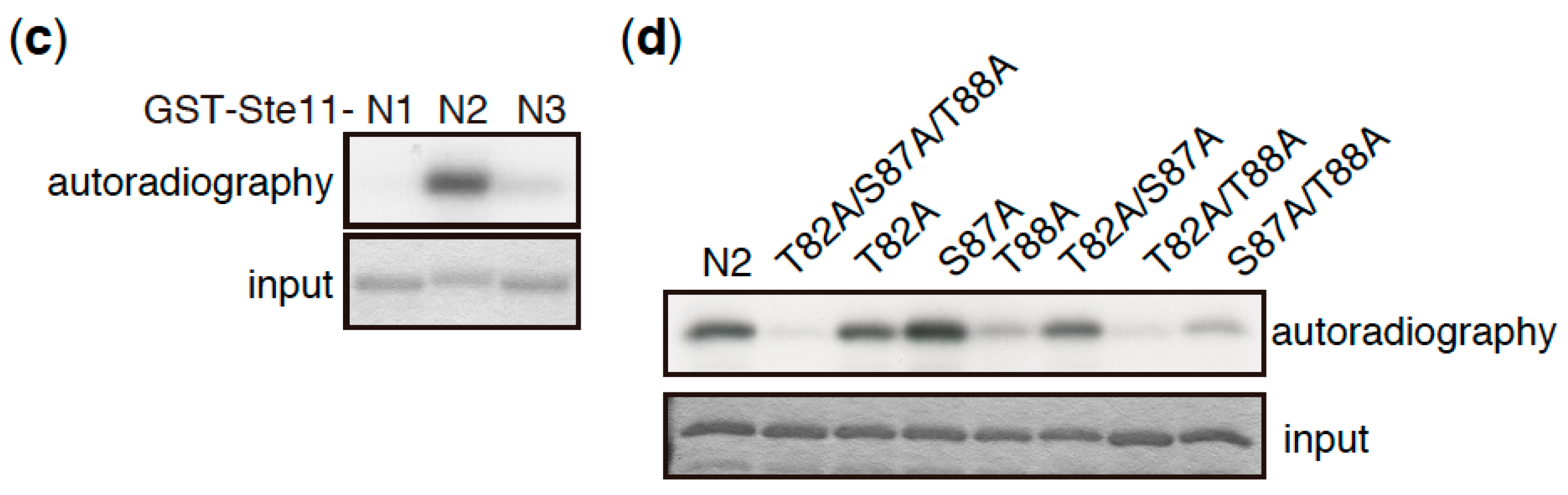 Biomolecules 07 00050 g003b