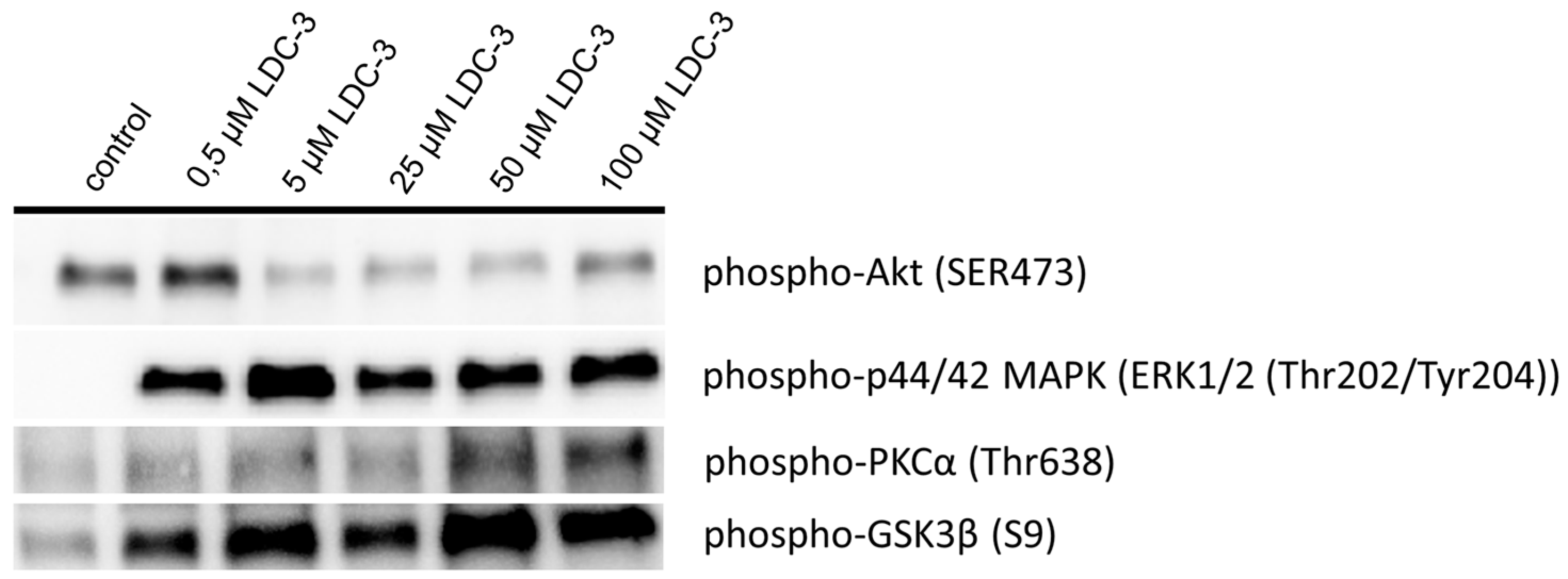 Biomolecules 07 00055 g001