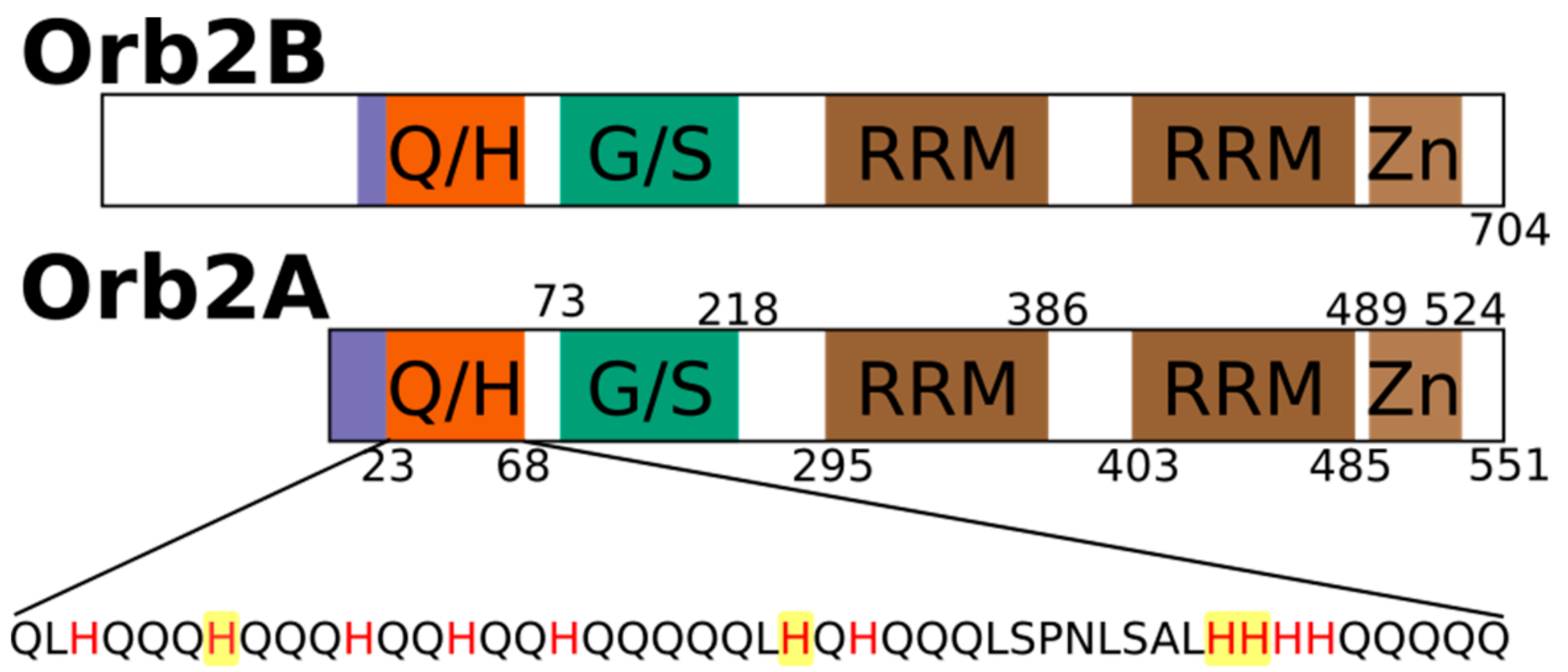 Biomolecules 07 00057 g001