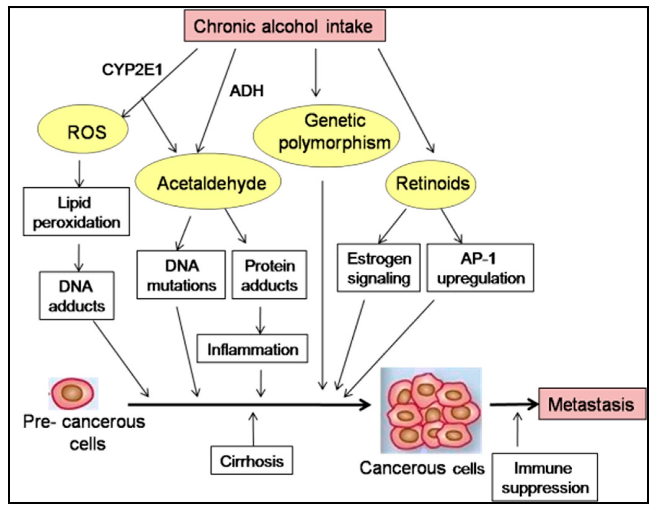 Biomolecules 07 00061 g002