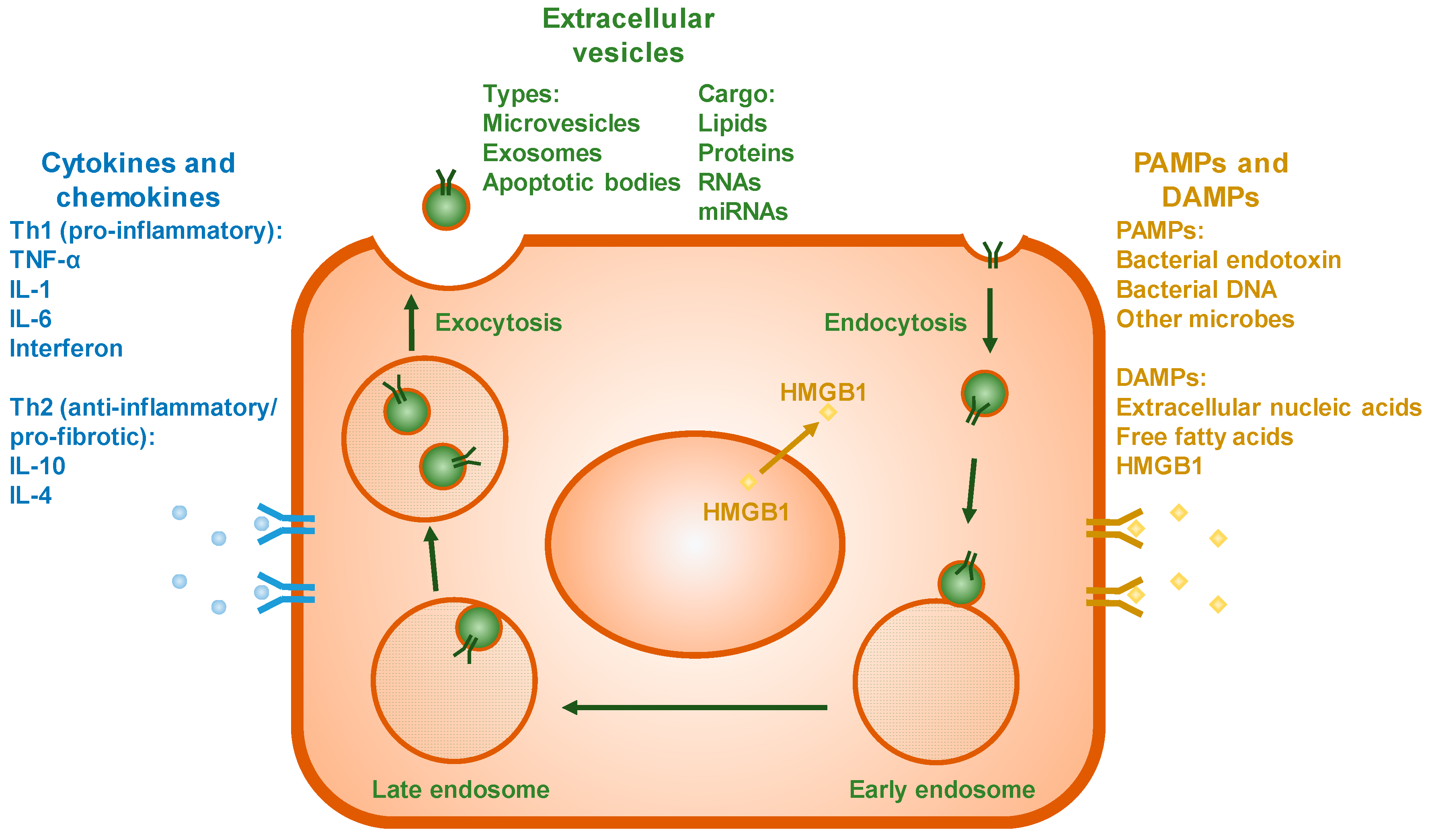 Biomolecules 07 00062 g003