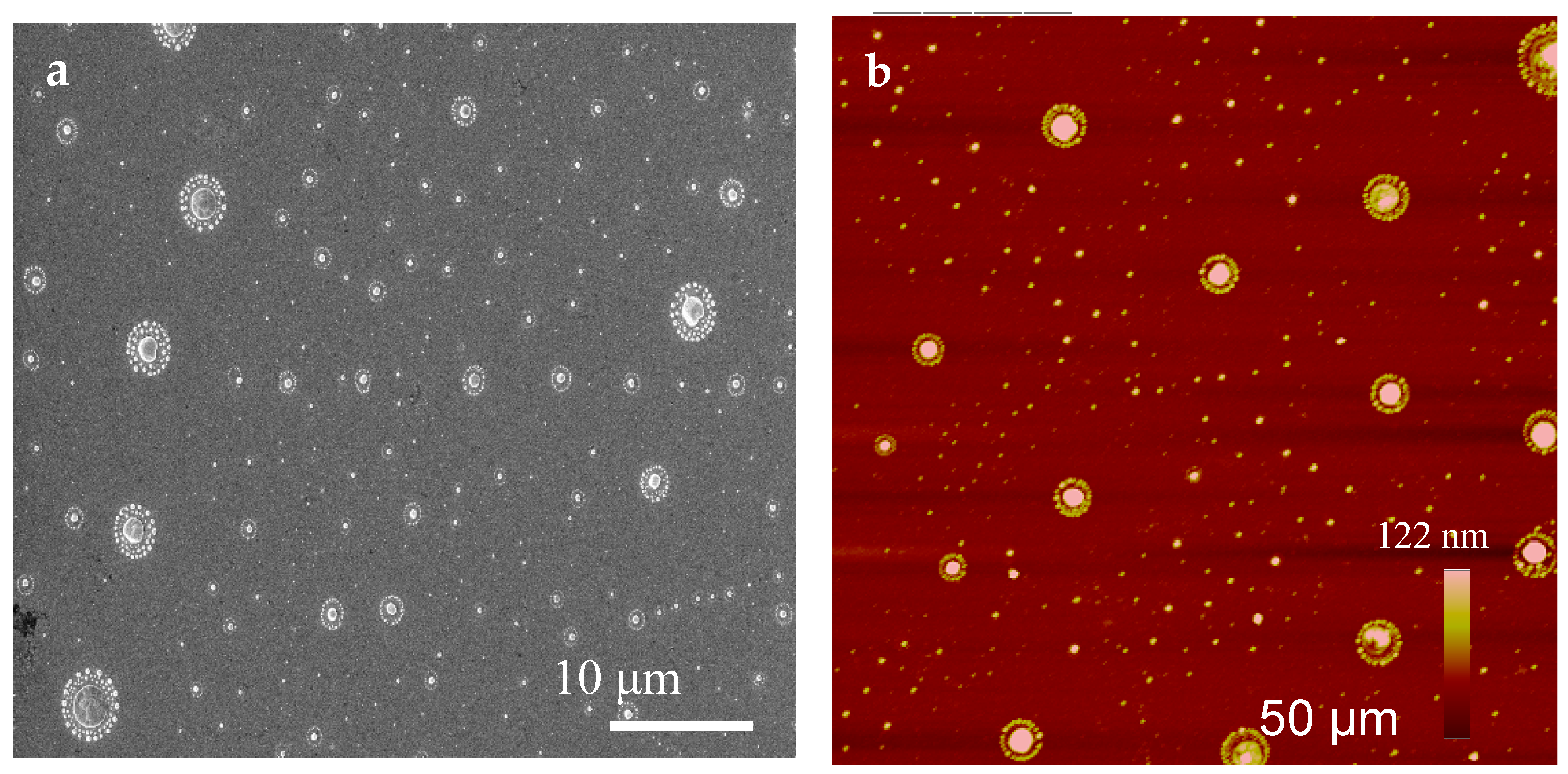 Biomolecules 07 00069 g001