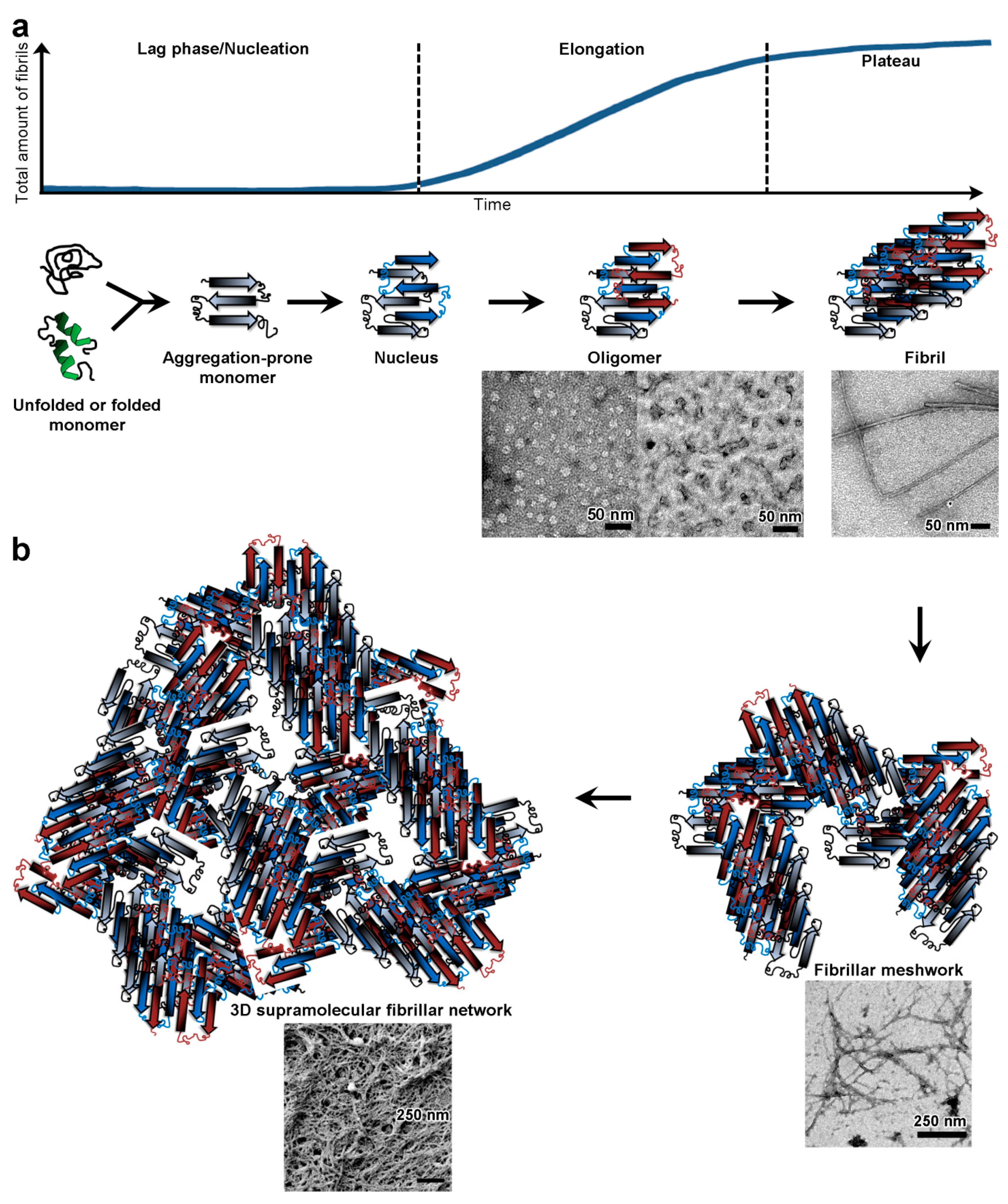 Biomolecules 07 00070 g001