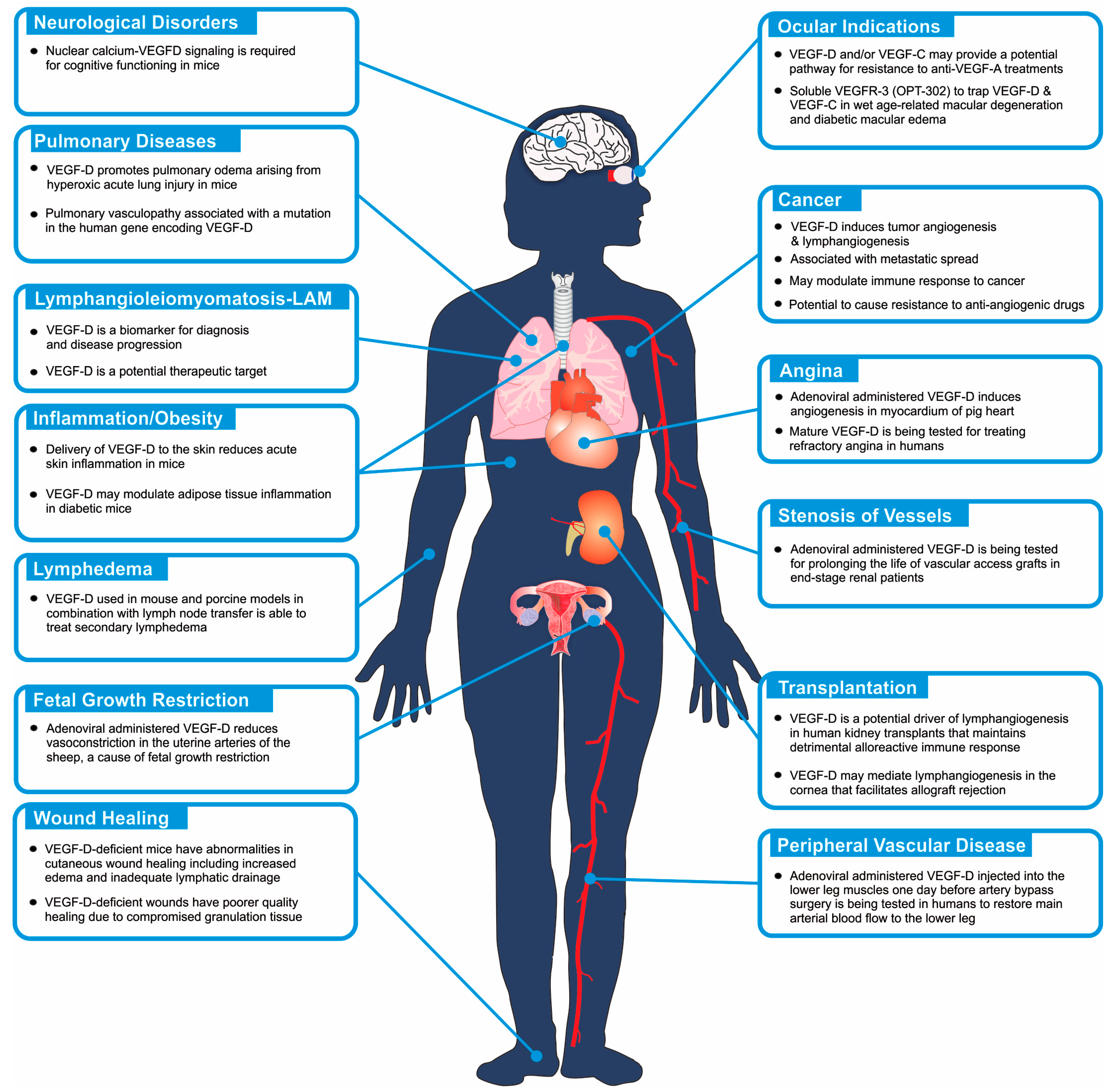 Biomolecules | Free Full-Text | Emerging Roles for VEGF-D in Human Disease