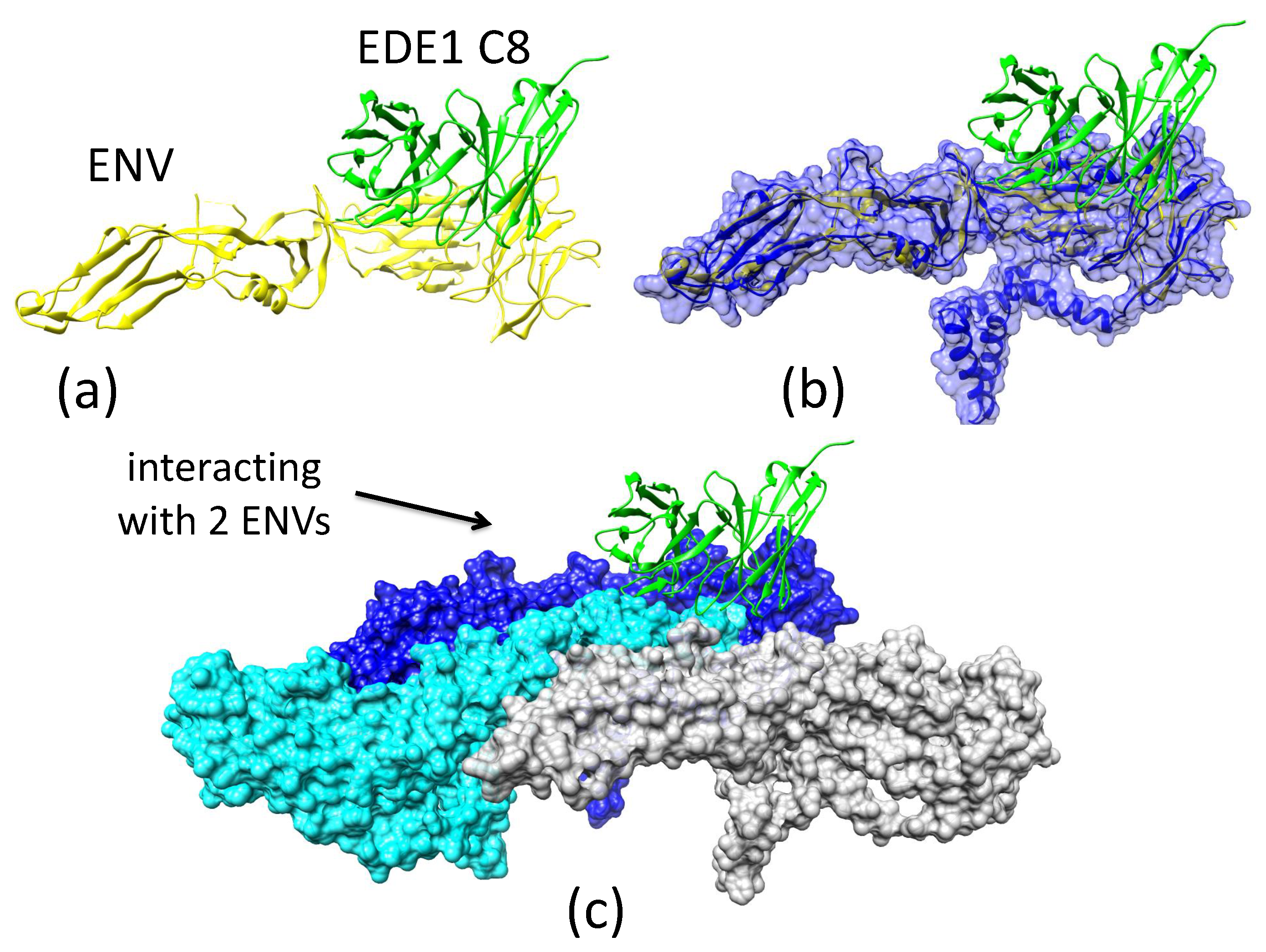 Biomolecules 08 00025 g0a4