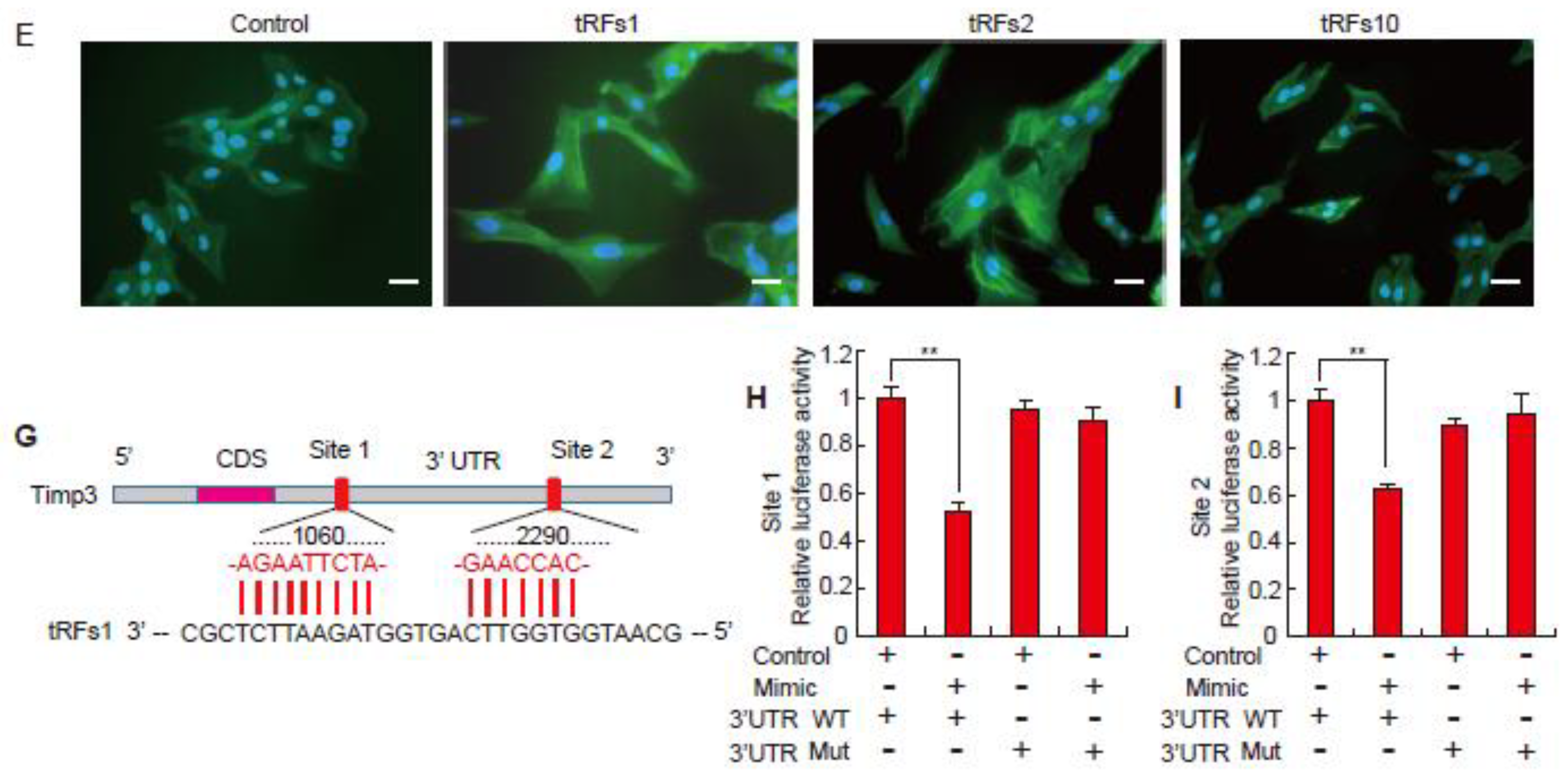 Biomolecules 08 00054 g002b