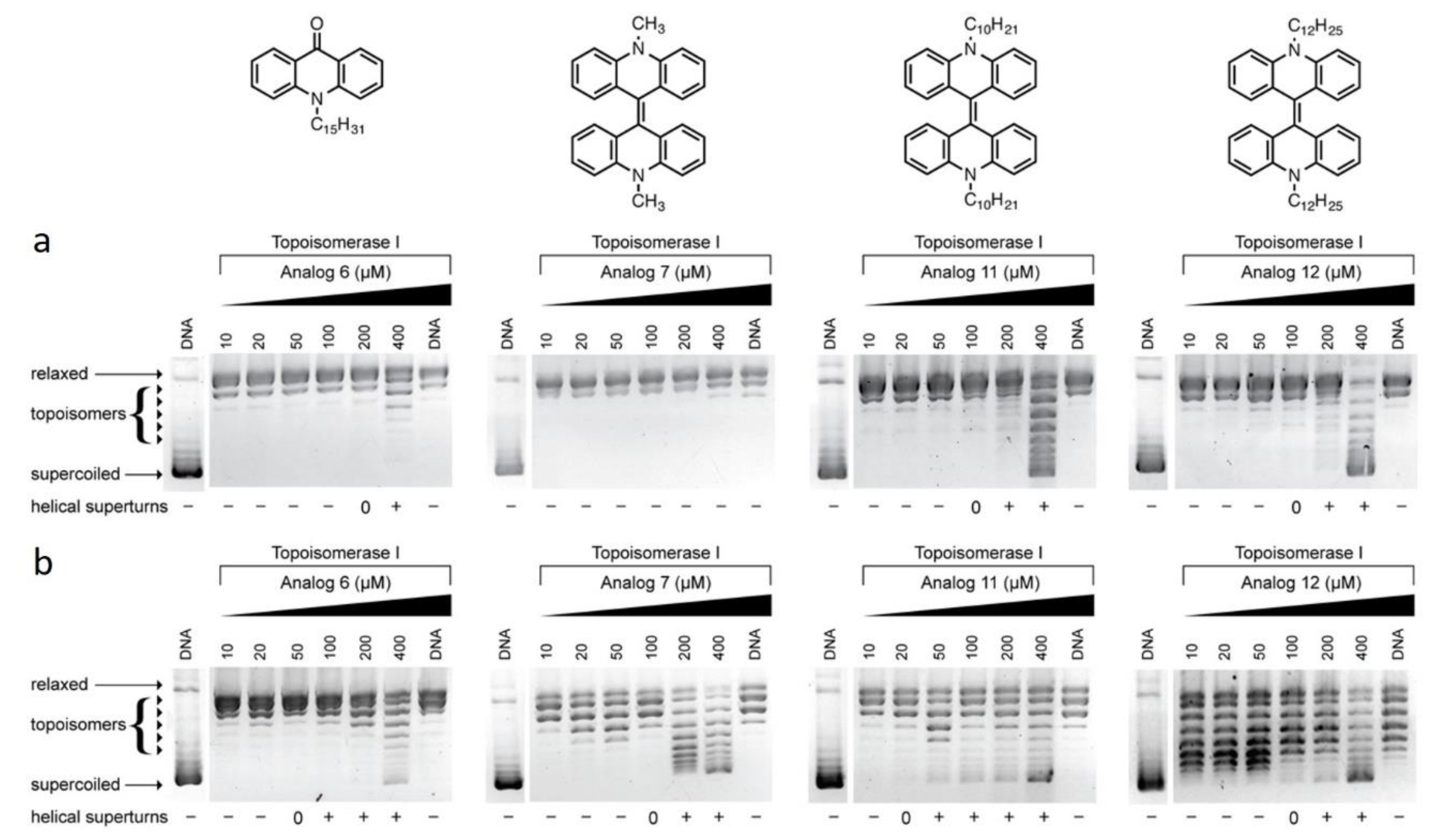 Biomolecules 09 00177 g002